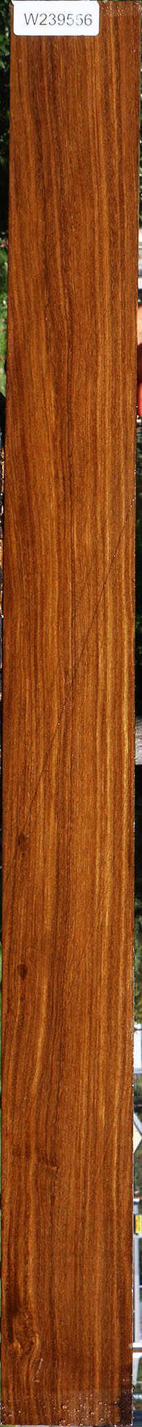 Bolivian Ebony Lumber