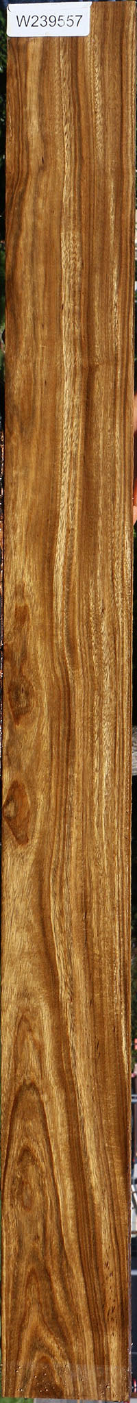 Bolivian Ebony Lumber