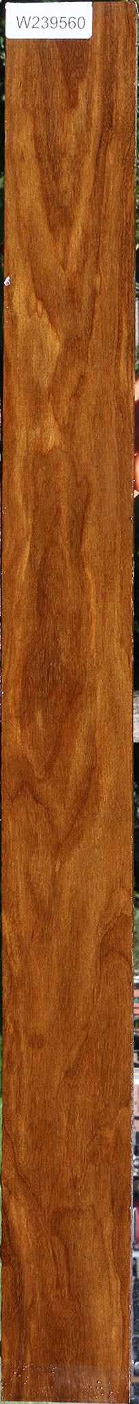 Bolivian Ebony Lumber