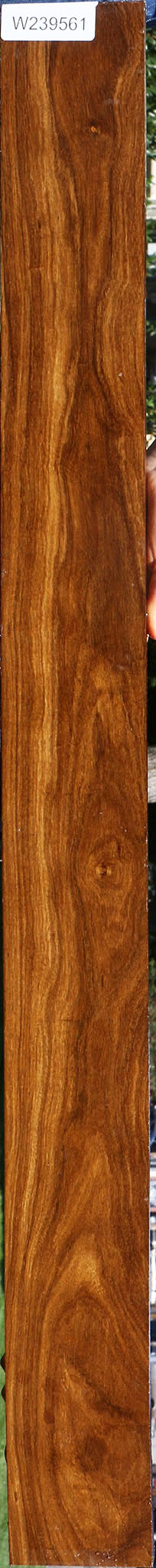 Figured Bolivian Ebony Lumber