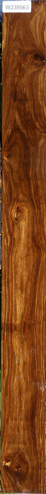 Extra Fancy Bolivian Ebony Lumber