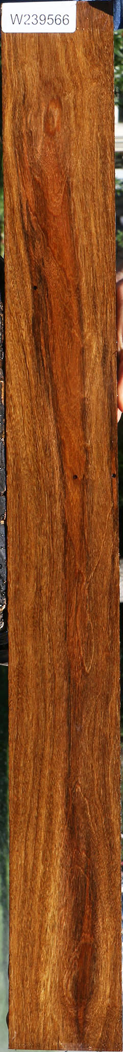 Bolivian Ebony Micro Lumber