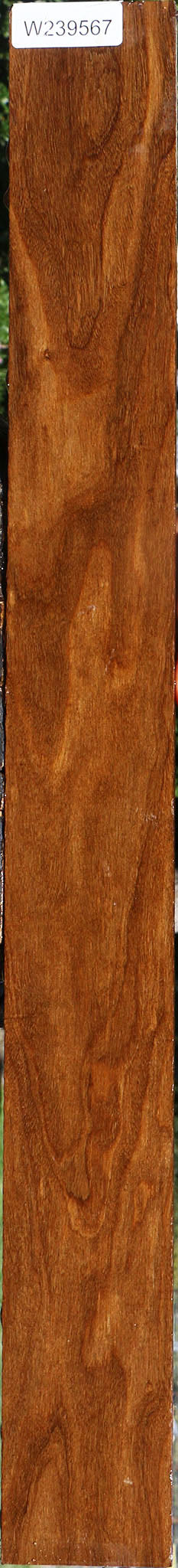 Bolivian Ebony Lumber