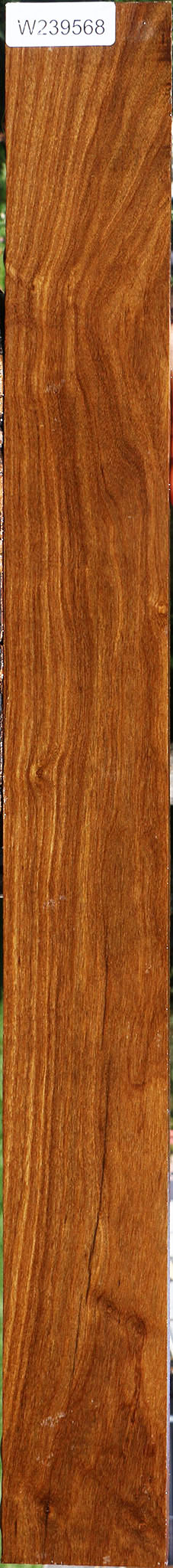 Bolivian Ebony Lumber