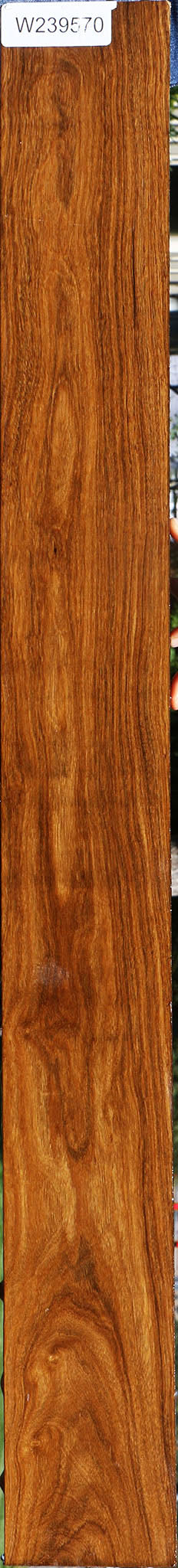 Bolivian Ebony Lumber