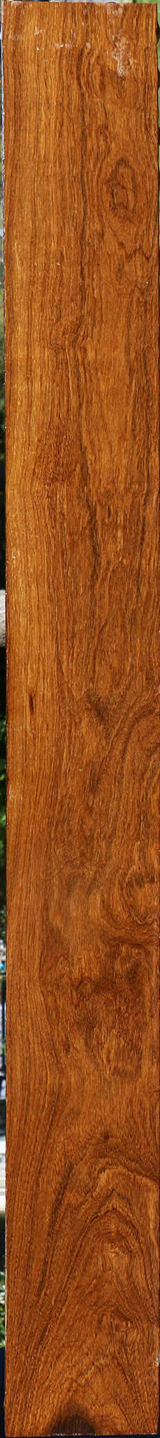 Bolivian Ebony Lumber