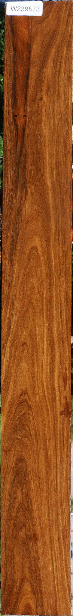 Bolivian Ebony Lumber