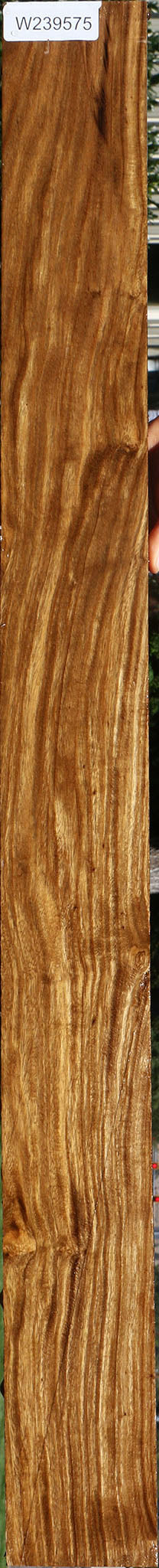 Figured Bolivian Ebony Lumber