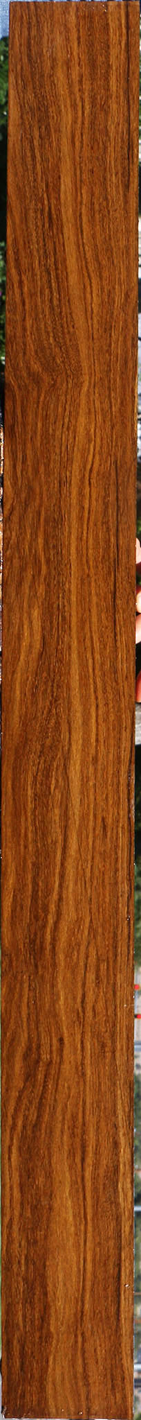 Bolivian Ebony Lumber