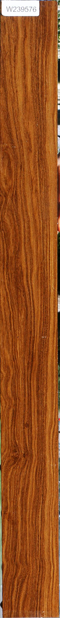 Bolivian Ebony Lumber