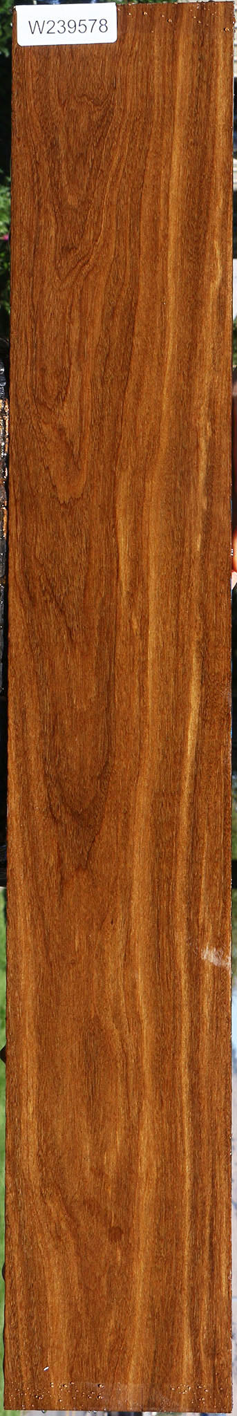 Bolivian Ebony Lumber