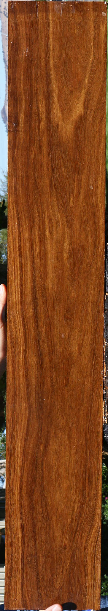 Bolivian Ebony Lumber