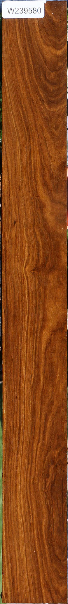 Bolivian Ebony Lumber