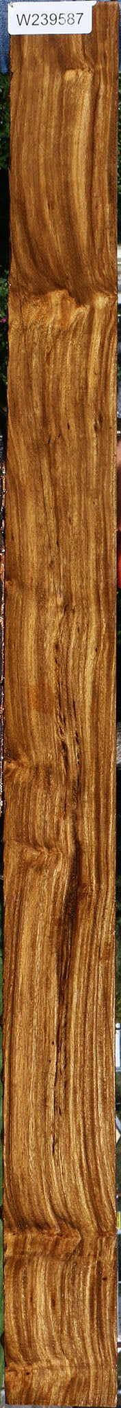 Bolivian Ebony Lumber