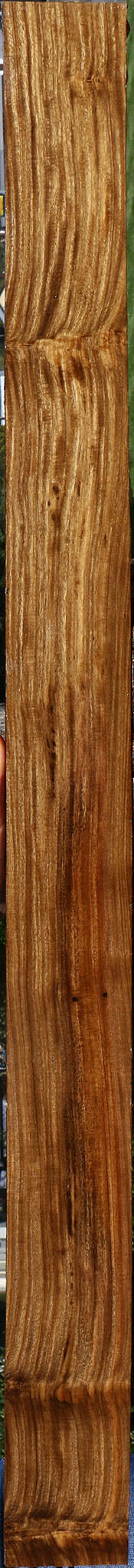 Bolivian Ebony Lumber