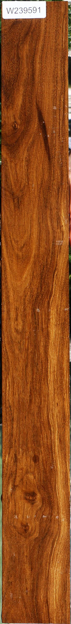 Bolivian Ebony Lumber