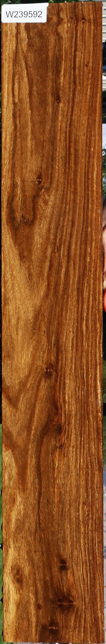 Figured Bolivian Ebony Lumber