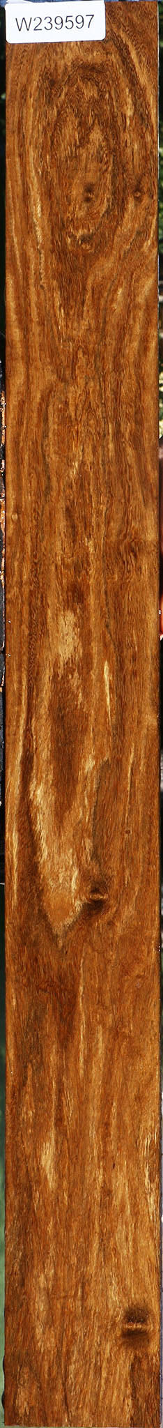 Figured Bolivian Ebony Lumber