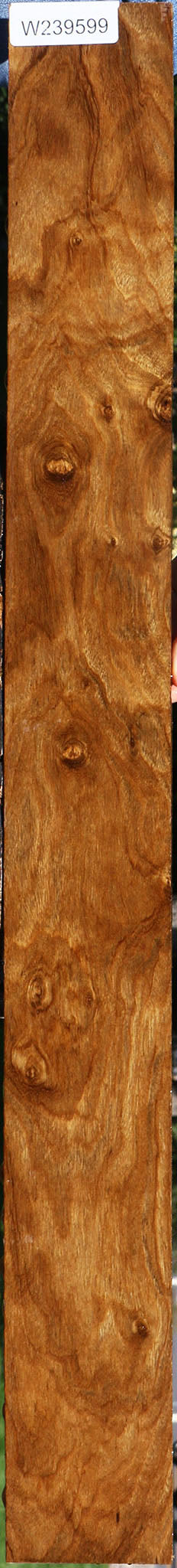 Figured Bolivian Ebony Lumber