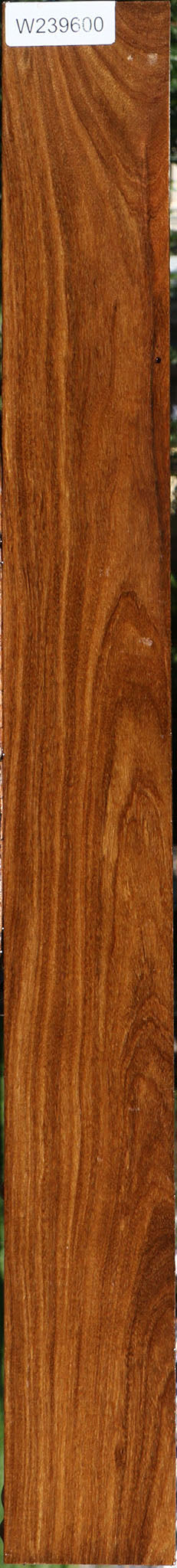 Bolivian Ebony Lumber