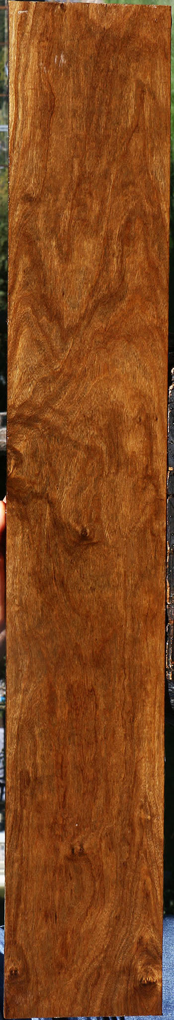 Bolivian Ebony Lumber