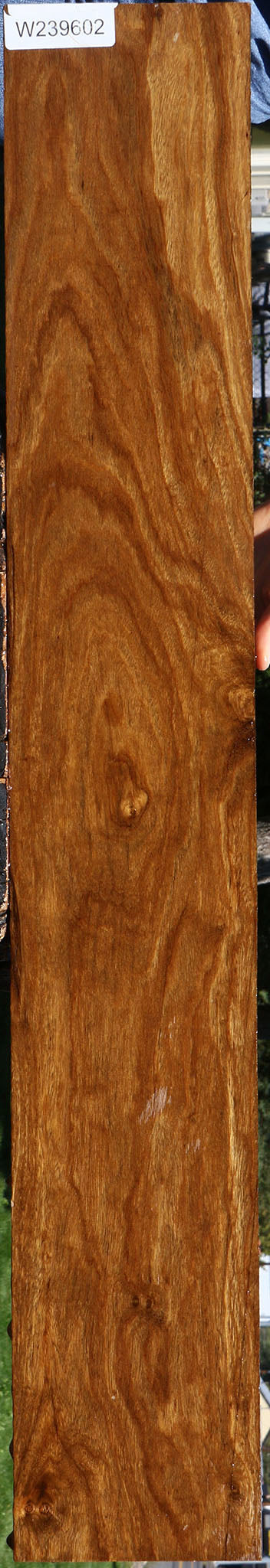 Bolivian Ebony Lumber