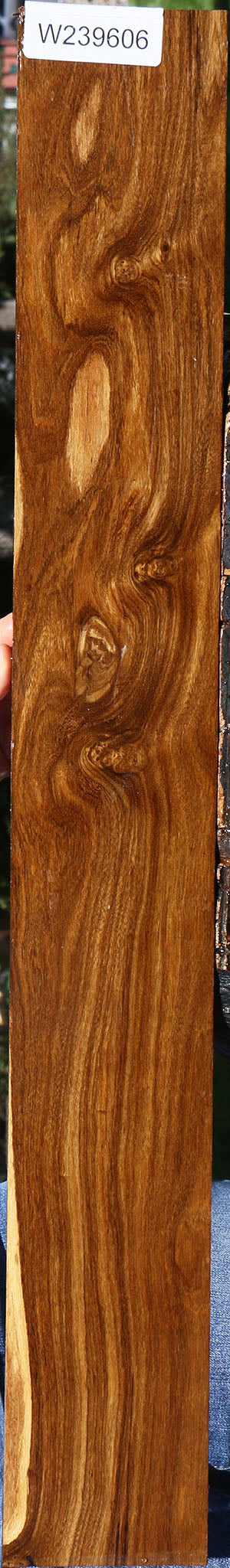 Extra Fancy Bolivian Ebony Lumber