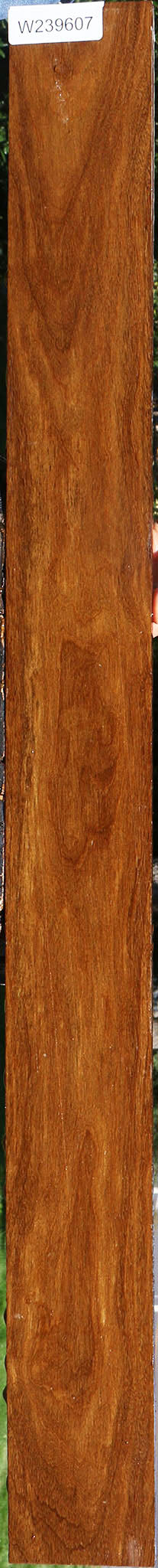 Bolivian Ebony Lumber