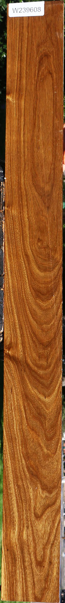 Extra Fancy Bolivian Ebony Lumber