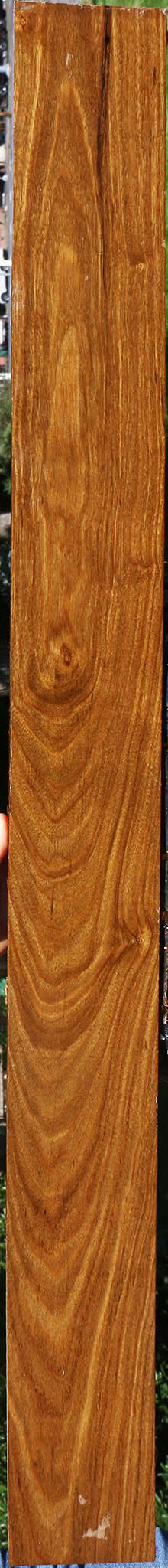 Extra Fancy Bolivian Ebony Lumber