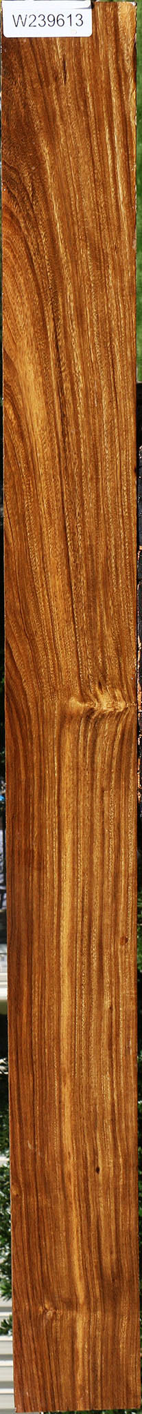 Bolivian Ebony Lumber