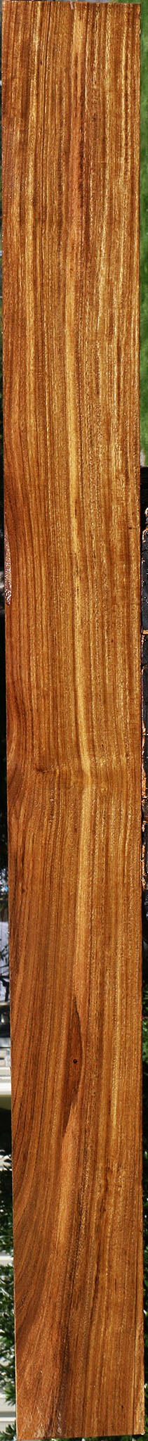 Bolivian Ebony Lumber