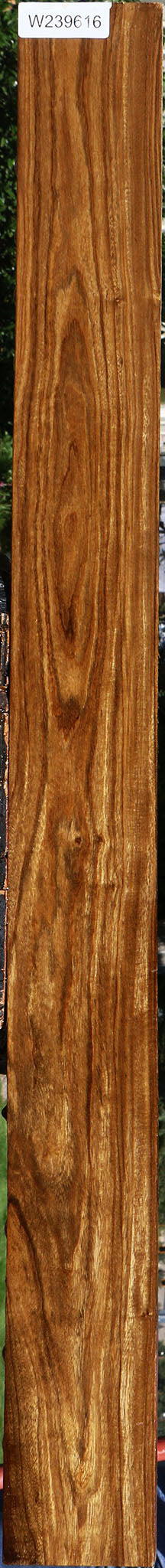 Bolivian Ebony Lumber