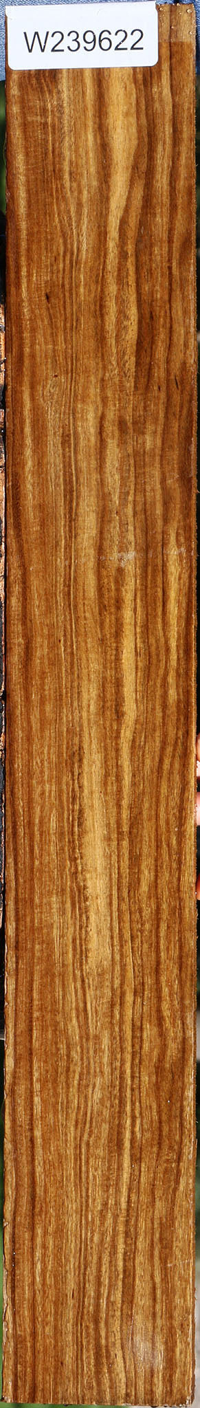 Figured Bolivian Ebony Lumber