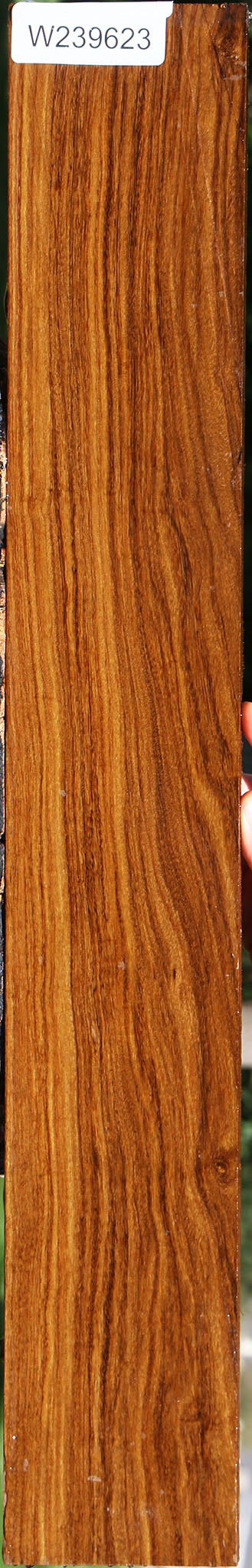 Bolivian Ebony Lumber