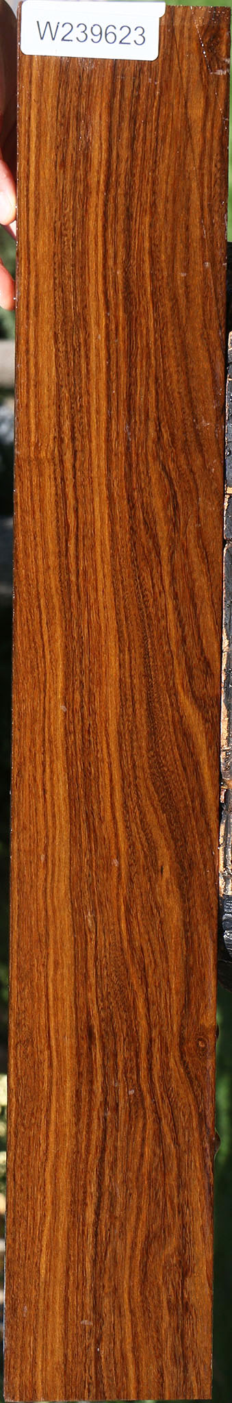Bolivian Ebony Lumber