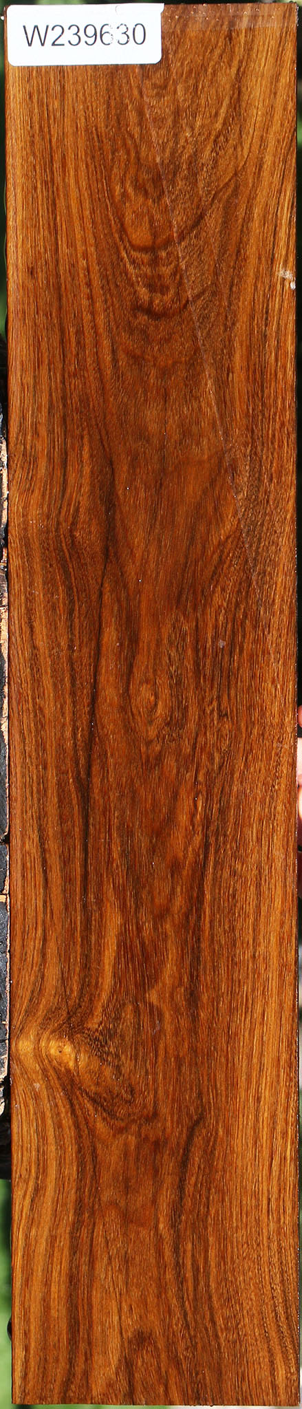 Bolivian Ebony Lumber