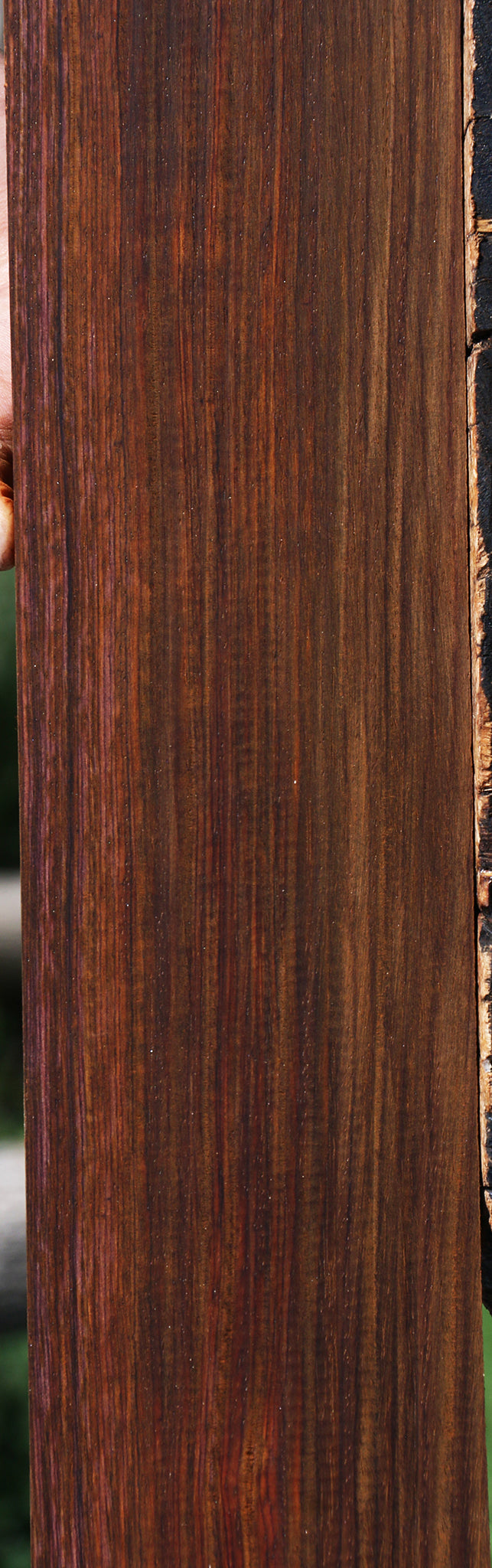Cocobolo Fingerboard
