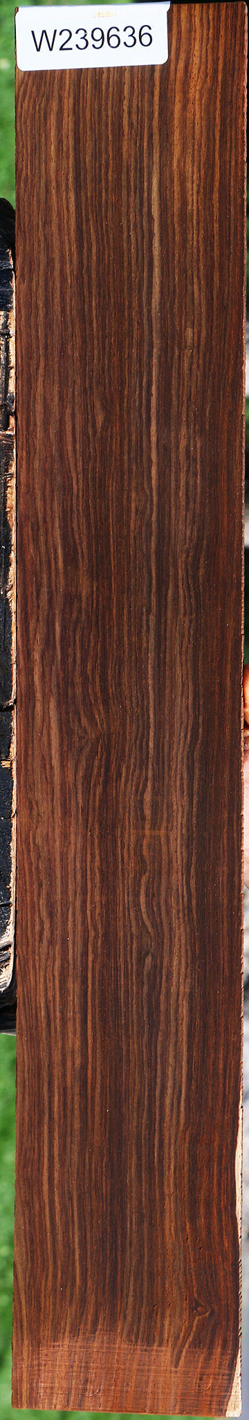 Cocobolo Fingerboard