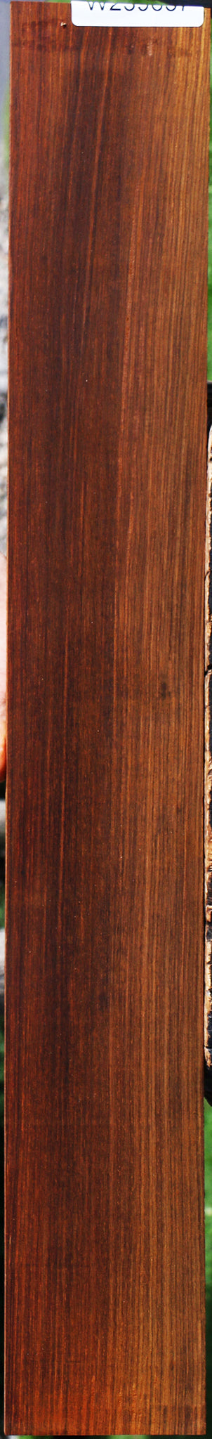 Quartersawn Cocobolo Fingerboard