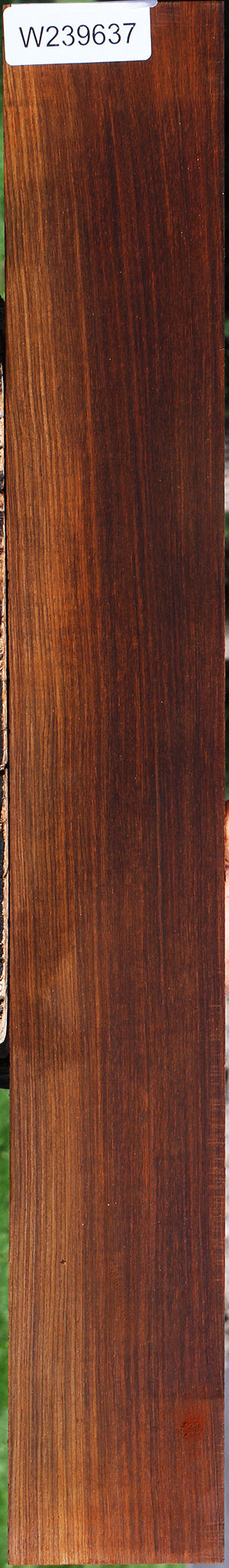 Quartersawn Cocobolo Fingerboard