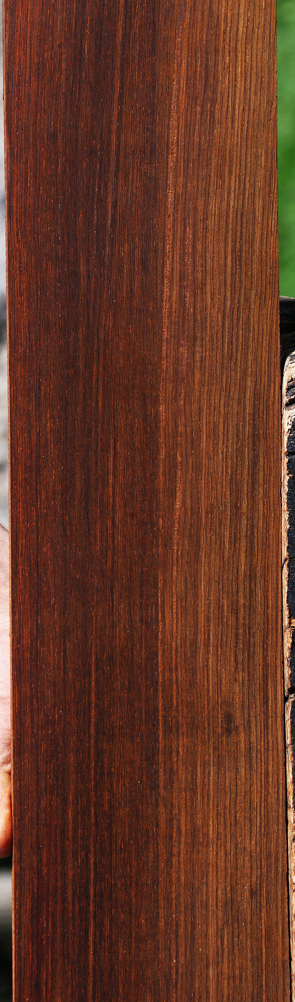 Quartersawn Cocobolo Fingerboard