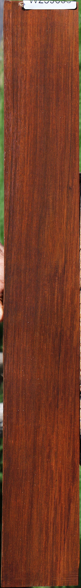 Quartersawn Cocobolo Fingerboard