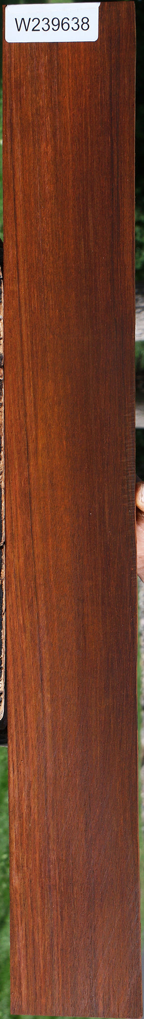 Quartersawn Cocobolo Fingerboard