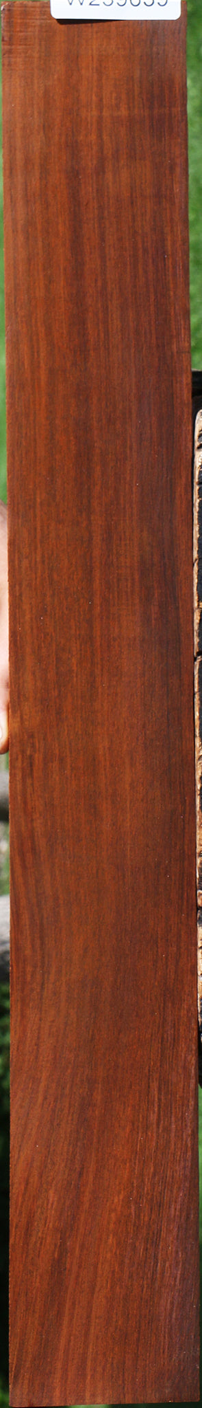 Quartersawn Cocobolo Fingerboard