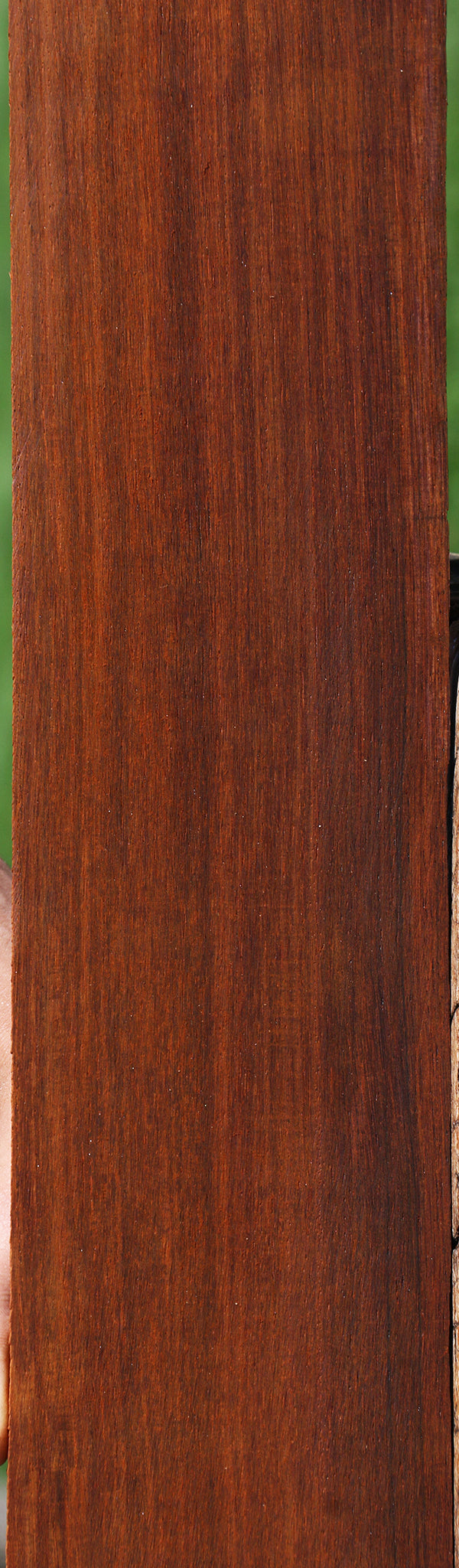 Quartersawn Cocobolo Fingerboard