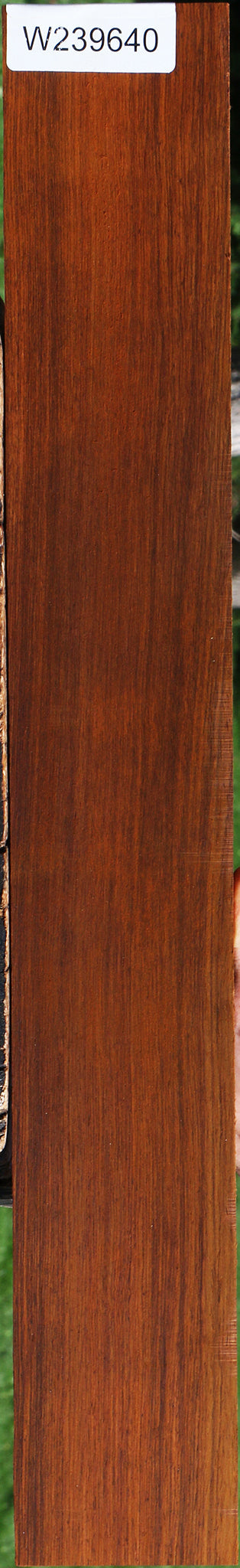 Quartersawn Cocobolo Fingerboard