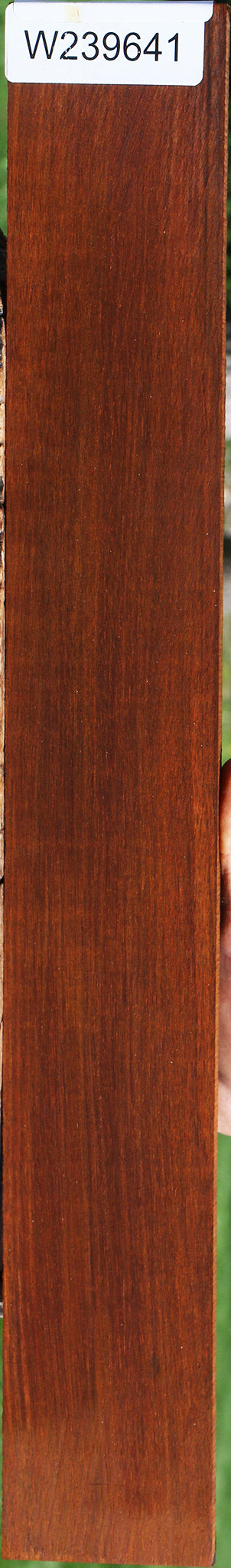 Quartersawn Cocobolo Fingerboard