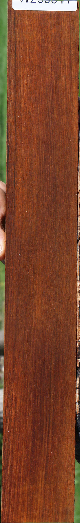 Quartersawn Cocobolo Fingerboard