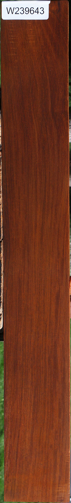 Cocobolo Instrument Micro Lumber